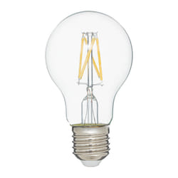 Lot de 2 Ampoules LED  A60  10cm Transparent