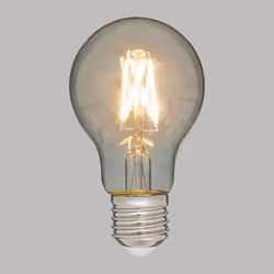 Lot de 2 Ampoules LED  A60  10cm Transparent