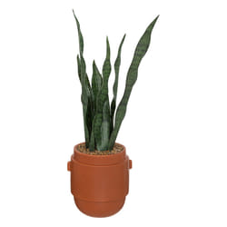 Atmosphera 196696 plante artificielle