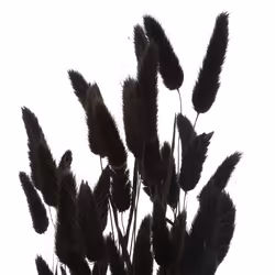 Atmosphera 189113D plante artificielle