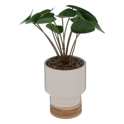 Plante Artificielle en Pot  Col  26cm Blanc