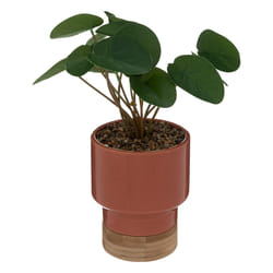Plante Artificielle en Pot  Col  26cm Pêche