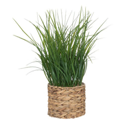 Atmosphera 196736 plante artificielle