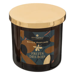 Atmosphera 196074A bougie en cire 1 pièce(s)