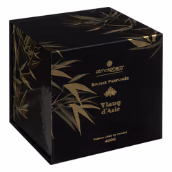 Atmosphera 196074C bougie en cire 1 pièce(s)