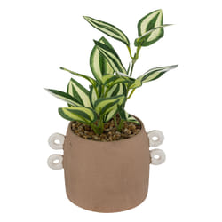 Atmosphera 196754 plante artificielle