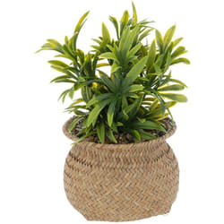 Atmosphera - Plante artificielle en pot Jiling en roseau H20cm créateur d'intérieur