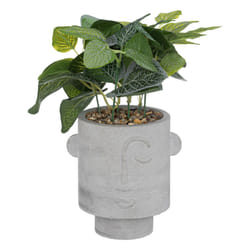 Atmosphera 196763 plante artificielle
