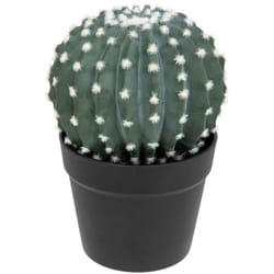 Atmosphera - Cactus rond Exotic Panama H25cm vert créateur d'intérieur