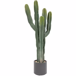Idéal pour créer une ambiance exotique, le cactus "Exotic Panama" Atmosphera déposera une touche de préciosité dans votre int ...