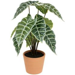 Atmosphera - Alocasia artificielle H43cm vert créateur d'intérieur