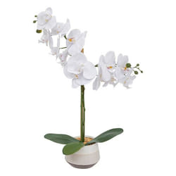 Orchidée Artificielle Clera H52cm Blanc Atmosphera Créateur D'Intérieur