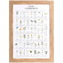 Atmosphera - Affiche encadrée plantes Ingrid bois 50x70cm créateur d'intérieur