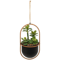 Atmosphera - Plante artificielle suspendue Tyla pot noir H31cm créateur d'intérieur