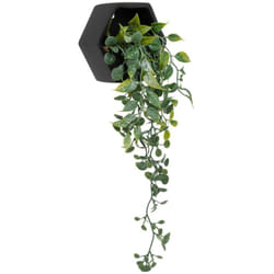 Atmosphera - Plante artificielle suspendue Ayame pot noir H14cm créateur d'intérieur