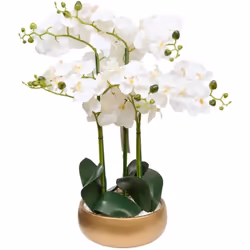 Orchid pot dore sanae h65 - Atmosphera createur d'interieur. Couleur : Doré. Matière principale : Ciment. Longueur : 60.00 cm ...