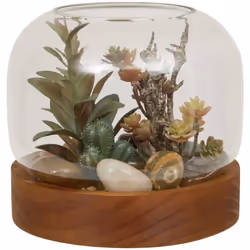 Terrarium plante bois wonj h14 - Atmosphera createur d'interieur. Couleur : Multicolore. Matière principale : Verre. Longueur ...