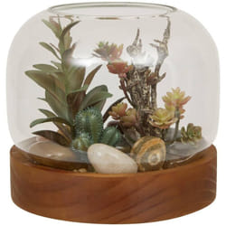 Terrarium plante bois wonj H14 Atmosphera créateur d'intérieur