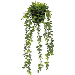 Eucalyptus artificiel en pot Merly vert H51cm - Atmosphera créateur d'intérieur