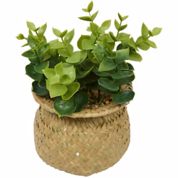 Plante pot nat jil ass h18box - Atmosphera createur d'interieur. Couleur : Modèle a. Matière principale : Roseau. Longueur :  ...
