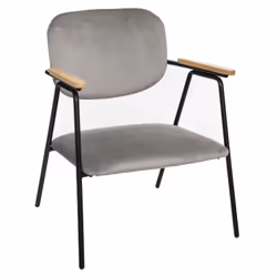 Fauteuil design en velours Dyer