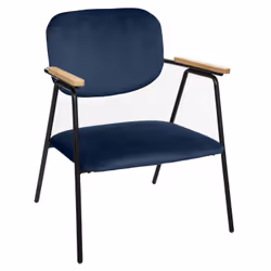 Fauteuil design en velours Dyer