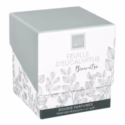 Atmosphera 172760H bougie en cire 1 pièce(s)