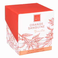 Atmosphera 172760L bougie en cire 1 pièce(s)
