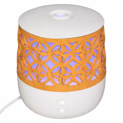 Diffuseur Huiles essentielles 100 ml