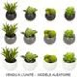 Plante grasse artificielle - NO NAME - 6cm - Gris