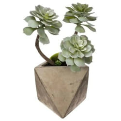 Atmosphera 114761 plante artificielle