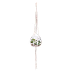 Plante Artificielle à Suspendre  Verre  53cm Transparent