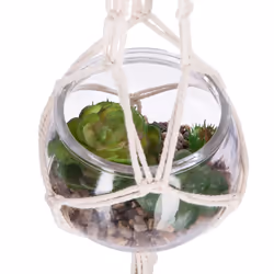 Plante Artificielle à Suspendre  Verre  53cm Transparent