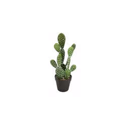 Cactus artificiel, Nomade, H 42 cm. Mettez un peu de verdure dans votre décoration intérieure ou extérieure. Simple et design ...