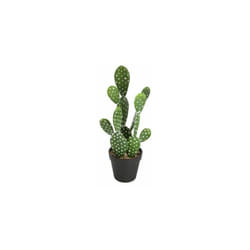 Atmosphera - Cactus artificiel - Nomade - h 42 cm - Modèle aléatoire - Livraison gratuite - Vert