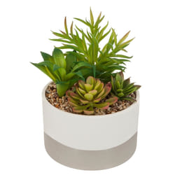 Plante artificielle pot céramique bicolore D14