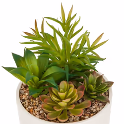 Plante artificielle pot céramique bicolore D14
