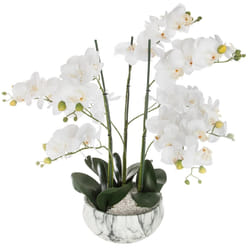 Orchidée pot ciment marbre H65