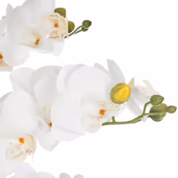 Orchidée pot ciment marbre H65