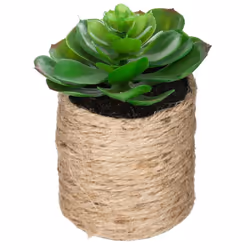 Originale et pleine de caractère, la plante artificielle Atmosphera vous séduira si vous aimez les accessoires déco au style ...