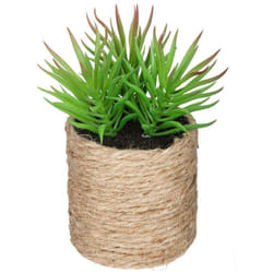 Atmosphera 160065 plante artificielle