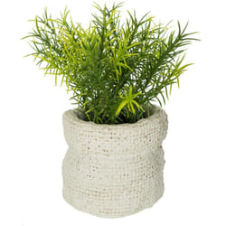 Atmosphera - Plante artificielle pot ciment H14cm créateur d'intérieur