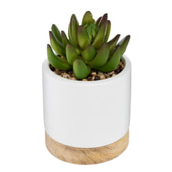 Atmosphera 164284 plante artificielle