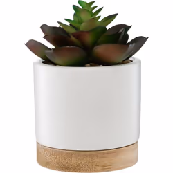 Atmosphera 164284 plante artificielle