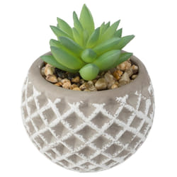 Atmosphera 164212 plante artificielle