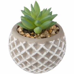 Craquez pour la succulente artificielle Atmosphera ! Avec son petit format, elle se glissera facilement dans un intérieur au  ...