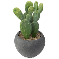 Atmosphera 164277 plante artificielle