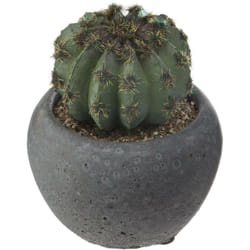 Atmosphera - Cactus artificiel pot ciment H11,5cm créateur d'intérieur