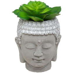 Atmosphera - Plante artificielle Bouddha pot ciment H12,5cm créateur d'intérieur