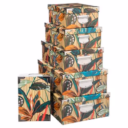Lot de 6 Boîtes de Rangement Palawan 48cm Multicolore